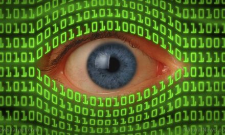 Bitcoin je výtvorem NSA, který má občany připravit na zavedení jediné celosvětové digitální měny. Zde jsou důkazy (1/2)